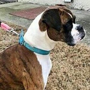 Meet your Posher, Lesley